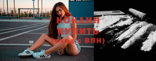 сатива Болотное
