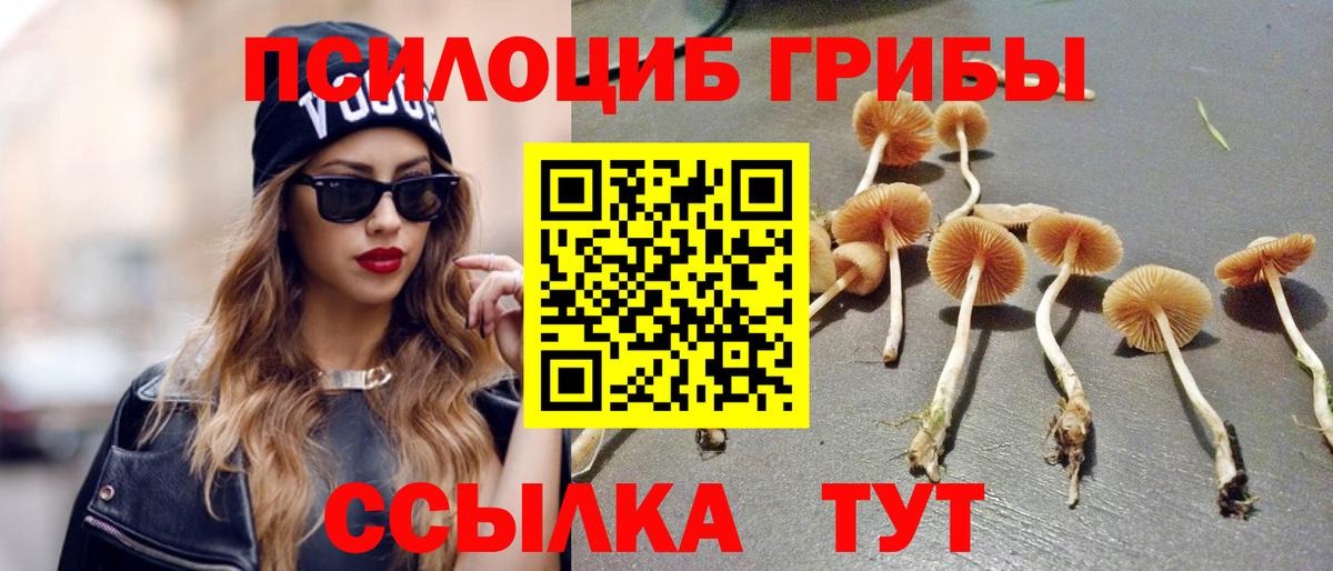 Псилоцибиновые грибы Psilocybe  закладки  Бугуруслан  Вход с VPN 