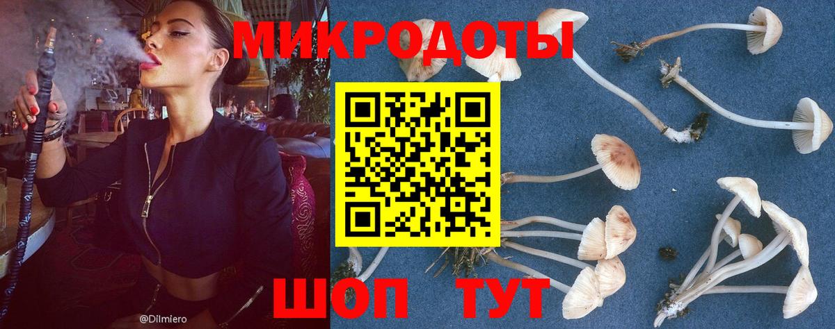 Псилоцибиновые грибы мицелий  Бугуруслан 